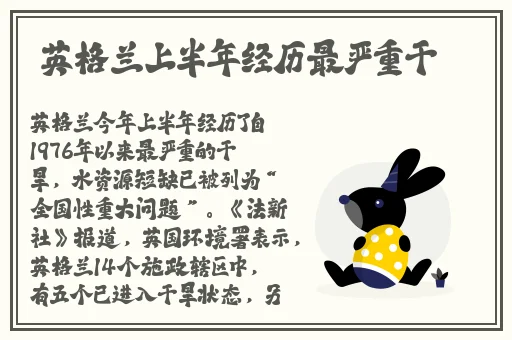 中文字幕42页