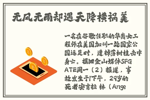 色天堂小软件